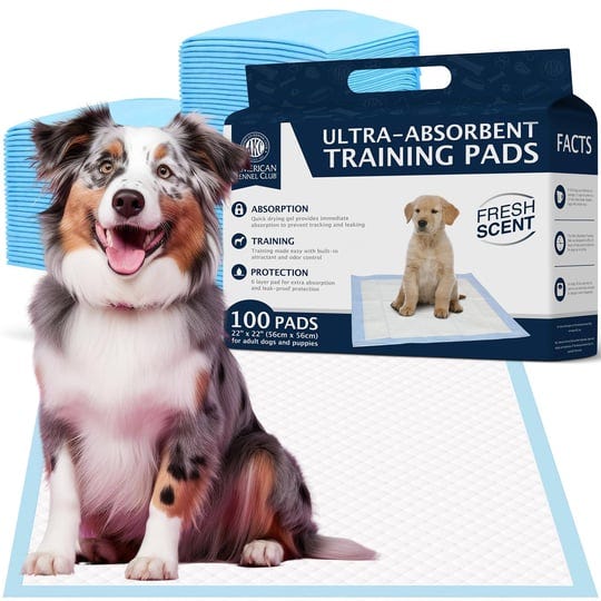 american-kennel-club-training-pads-100-pack-1