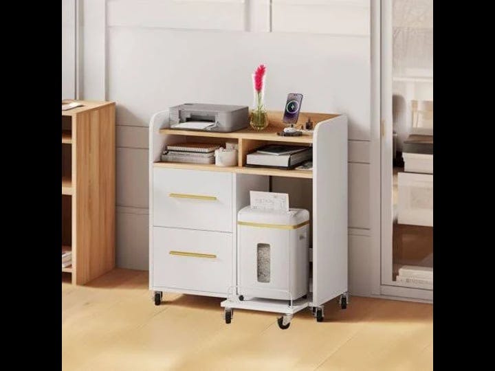 dextrus-file-cabinet-with-charging-station-and-paper-shredder-stand-printer-table-cabinet-rolling-fi-1