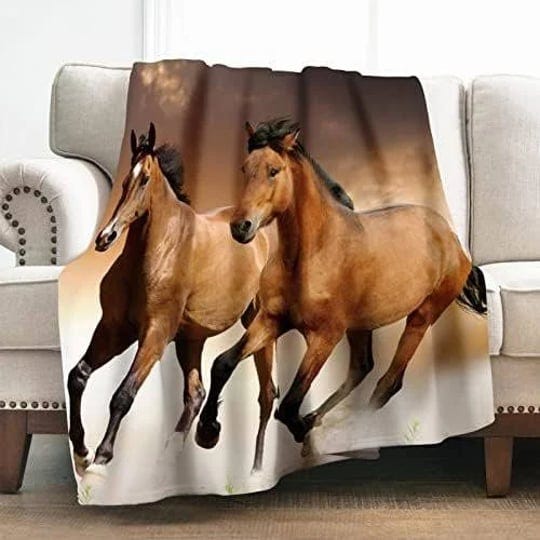 levens-horse-blanket-gifts-for-women-boys-men-decor-for-home-bedroom-living-room-couch-lounge-1