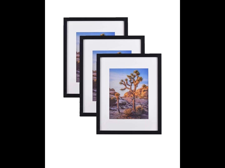 black-20x24-photo-frames-matted-to-16x20-photos-polystyrene-glass-for-wall-hanging-3-sets-1