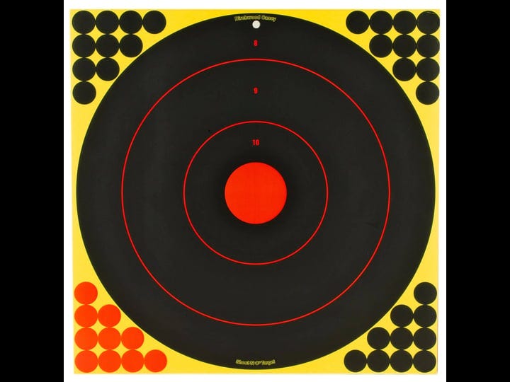 birchwood-casey-shoot-n-c-target-17-25-5-targets-1