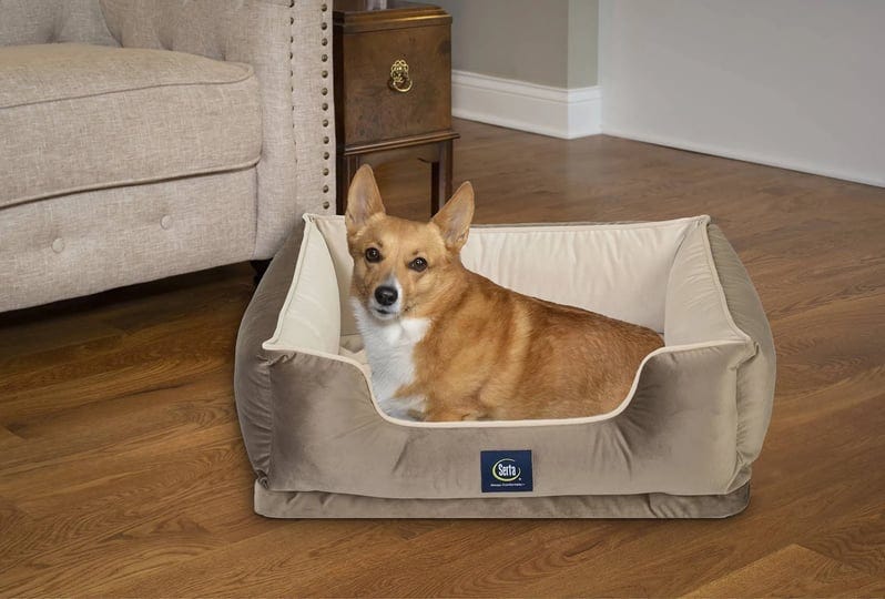 serta-ortho-cuddler-dog-bed-large-brown-size-large-34x24x10-1