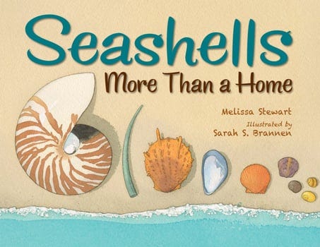 seashells-1472811-1