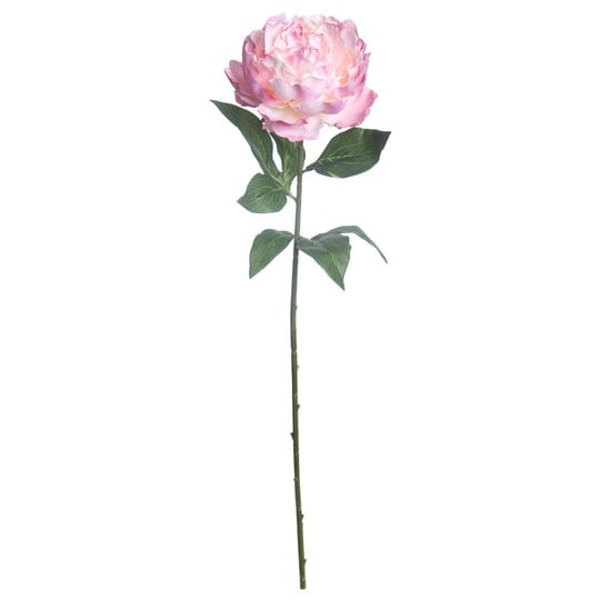 pink-ombre-peony-stem-by-ashland-27-5-michaels-1