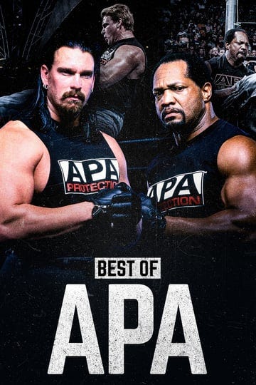 the-best-of-wwe-the-best-of-the-apa-4235330-1