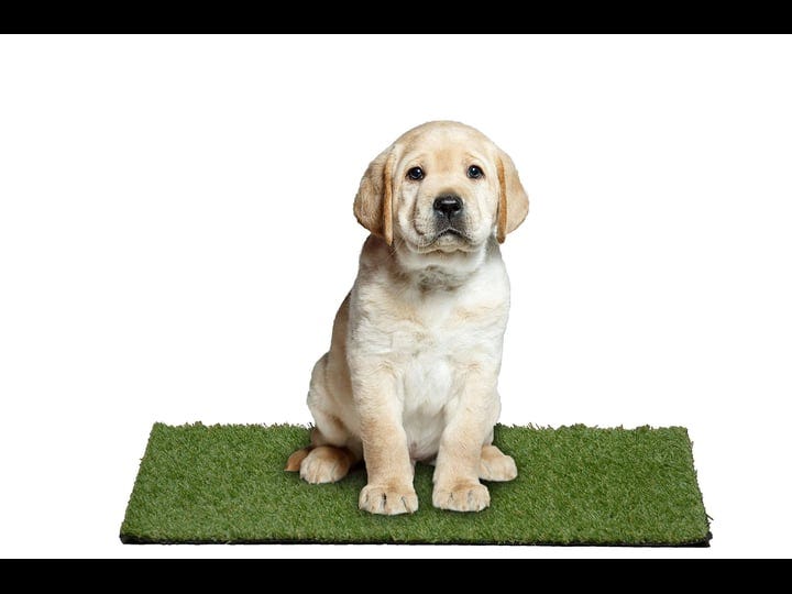 garland-puppy-pee-pad-18-in-x-30-in-easy-clean-with-drainage-holes-non-toxic-realistic-artificial-gr-1