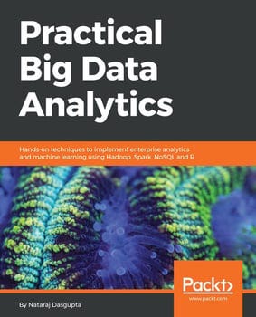 practical-big-data-analytics-92076-1