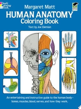 human-anatomy-coloring-book-35296-1