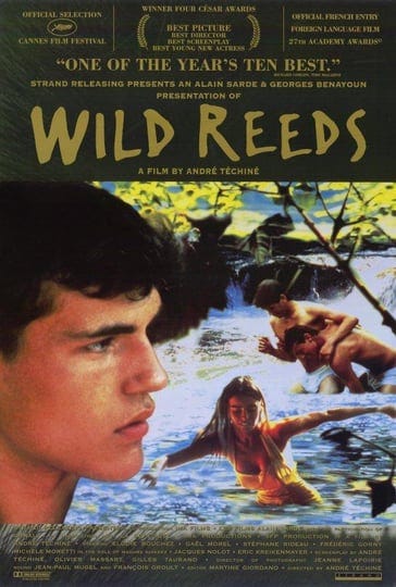 wild-reeds-4973388-1