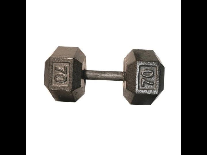 usa-sports-solid-gray-cast-iron-hex-dumbbell-45-lb-1