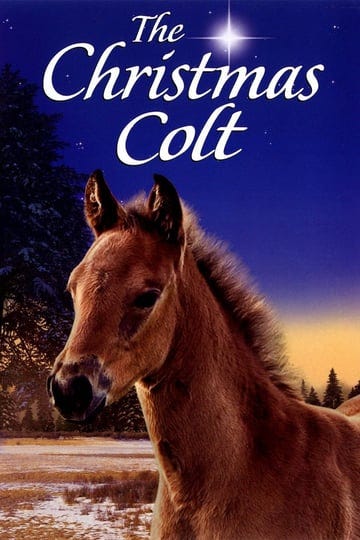 the-christmas-colt-4582887-1