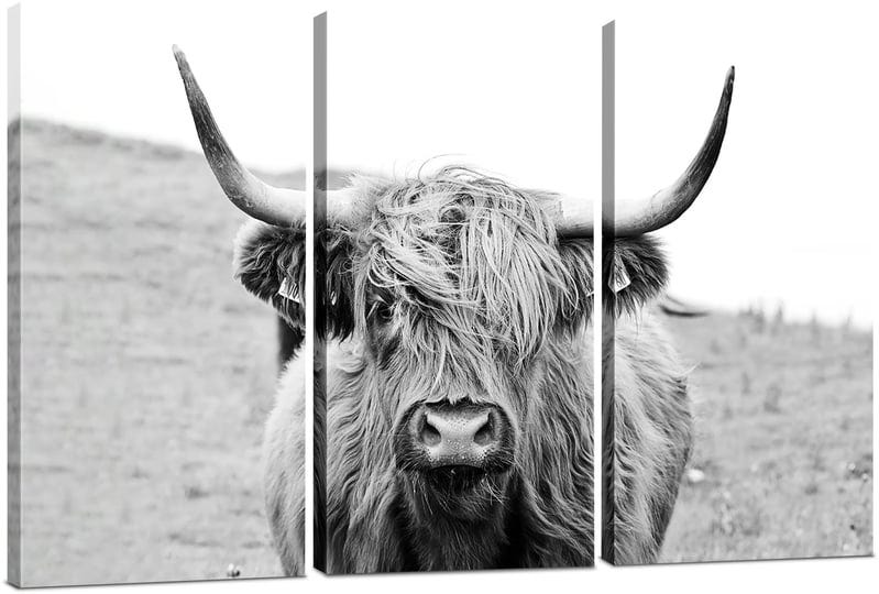 highland-cow-wall-decor-western-decor-wall-art-farmhouse-artwork-longhorn-cow-canvas-wall-art-3-piec-1