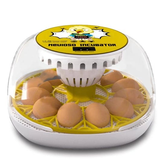 meuiosd-egg-incubator-for-hatching-chicks-12-24-egg-incubators-with-auto-turning-automatic-water-top-1