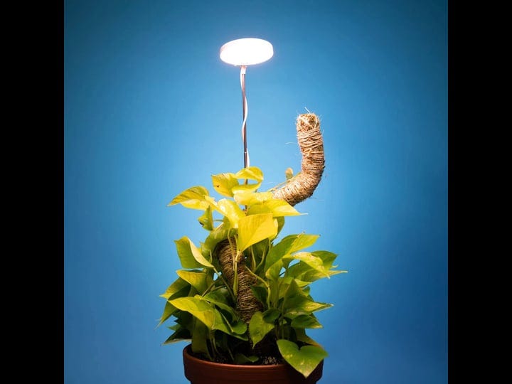 adjustable-height-auto-timed-grow-light-indoor-gardening-1