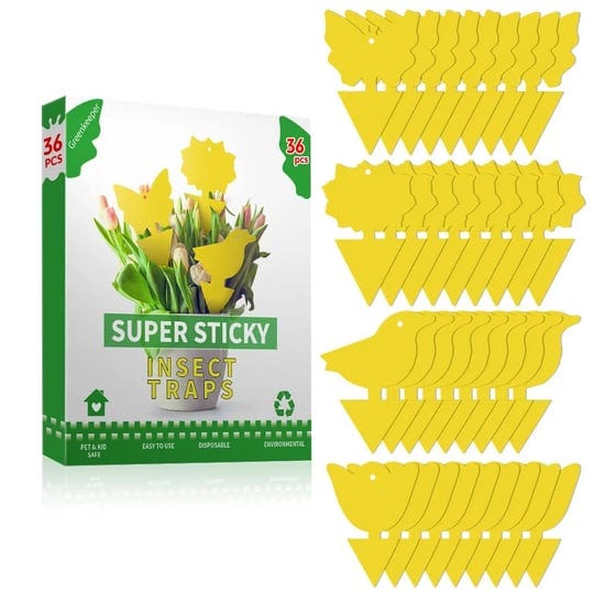 36-pcs-sticky-traps-for-fruit-fly-whitefly-fungus-gnat-mosquito-and-bug-yellow-insect-catcher-traps--1