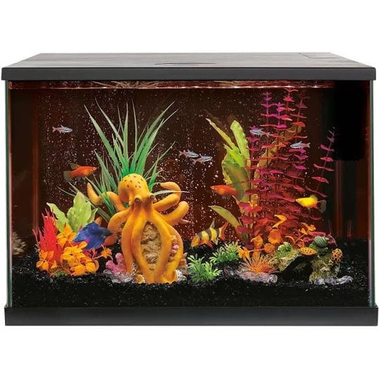 top-fin-led-bubble-wall-aquarium-tank-kit-size-20-gal-petsmart-1