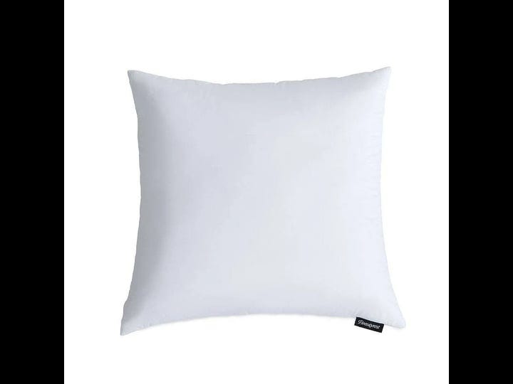 beautyrest-softy-around-feather-and-down-euro-pillow-2pk-1