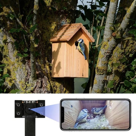 wiwacam-wifi-bird-box-camera-4k-hd-wlan-live-video-to-phone-easy-installation-to-most-of-bird-box-bi-1