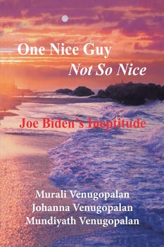 one-nice-guy-not-so-nice-3133413-1