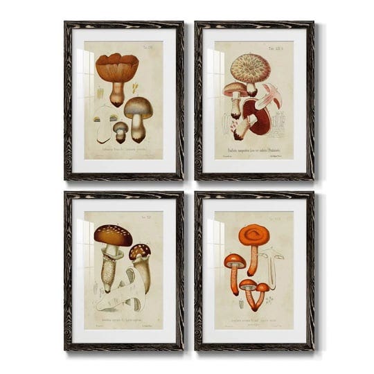 mushroom-varieties-i-4-piece-picture-frame-painting-set-gracie-oaks-size-43-5-h-x-31-5-w-x-1-d-frame-1