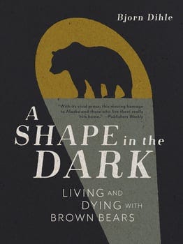 a-shape-in-the-dark-463665-1