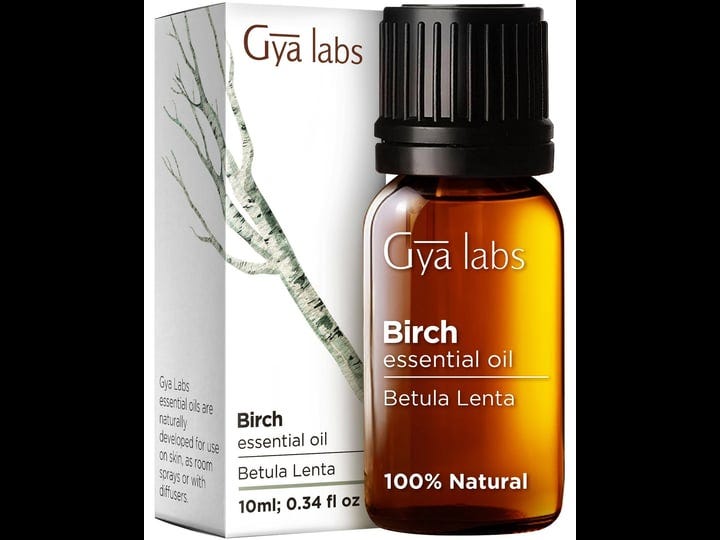 gya-labs-birch-essential-oil-sweet-minty-camphorous-scent-0-34-fl-oz-1
