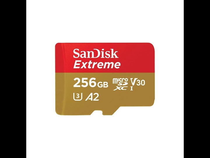 sandisk-extreme-microsdxc-uhs-i-card-256gb-1