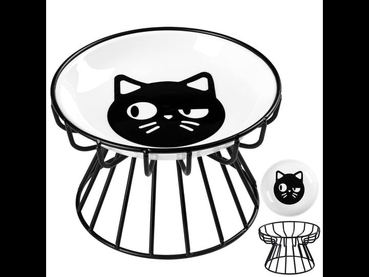 kitwinney-raised-cat-food-bowls-elevated-shallow-cat-bowl-wide-ceramic-cat-dishes-with-metal-stand-w-1