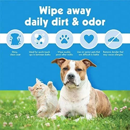 petkin-petwipes-400-wipes-big-n-thick-extra-large-pet-wipes-for-dogs-and-cats-cleans-face-ears-body--1