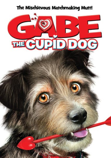 gabe-the-cupid-dog-4316061-1