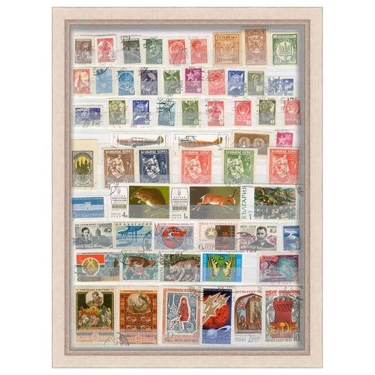 12x18-silver-shadowbox-frame-interior-size-12x18-x-1-25-in-deep-silver-frame-can-display-items-up-to-1