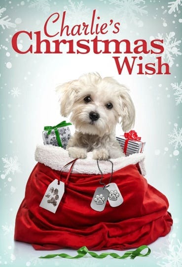 charlies-christmas-wish-tt7776712-1