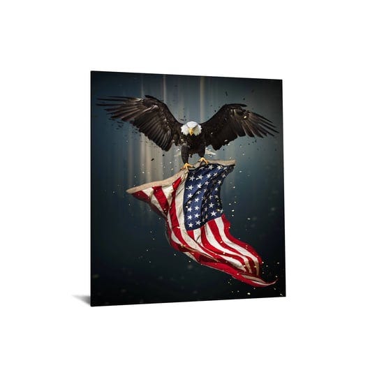 classy-art-40x60-billiant-patriot-with-foil-tempered-glass-wall-art-multi-1