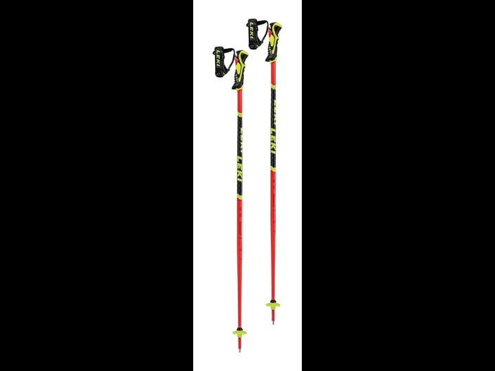 leki-wcr-lite-sl-3d-ski-poles-1