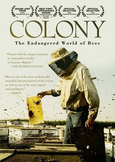 colony-5928579-1
