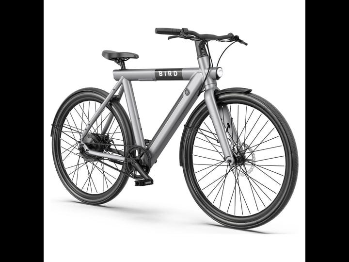 birdbike-ebike-a-frame-gray-1