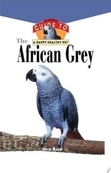 the-african-grey-36317-1