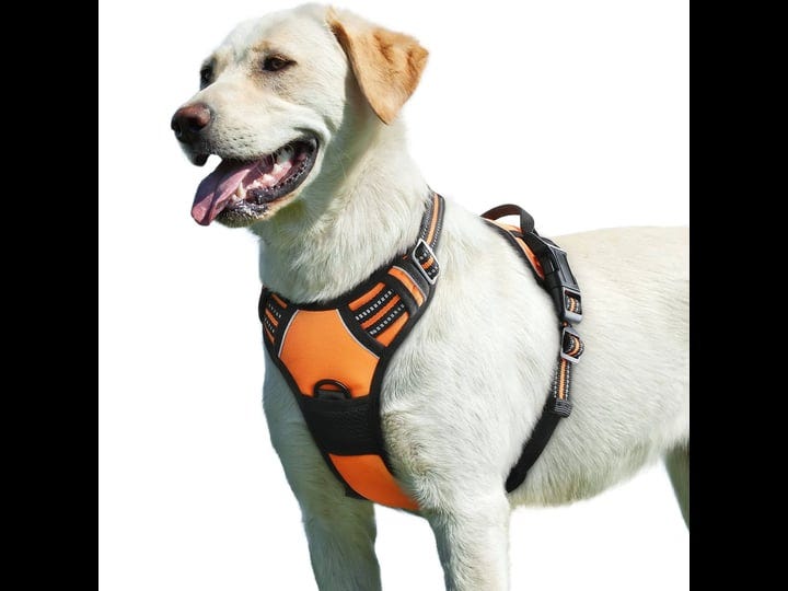 eagloo-dog-harness-no-pull-walking-pet-harness-with-2-metal-rings-and-handle-adjustable-reflective-b-1