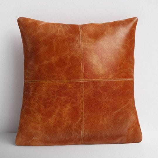 emily-leather-suede-throw-square-pillow-joss-main-fill-material-pillow-cover-only-no-insert-1