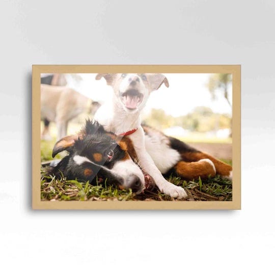 custompictureframes-com-24x36-frame-beige-real-wood-picture-frame-width-0-75-inches-interior-frame-d-1