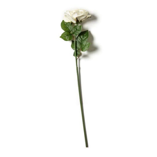 ashland-white-rose-stem-each-1