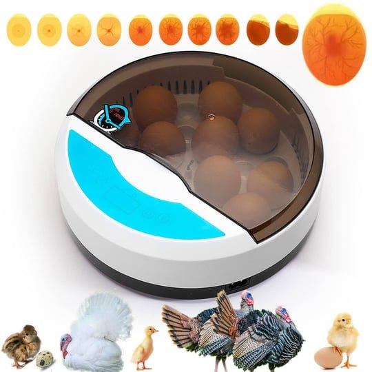 lreerge-egg-incubatorwith-9-led-lighted-egg-candle-tester-and-temperature-control-device-one-key-inc-1