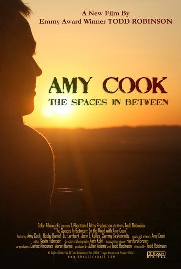 amy-cook-the-spaces-in-between-5337820-1