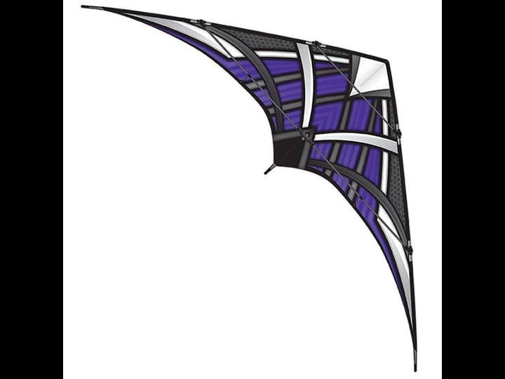 purple-nk-93-passport-stunt-competition-sport-kite-brainstorm-1
