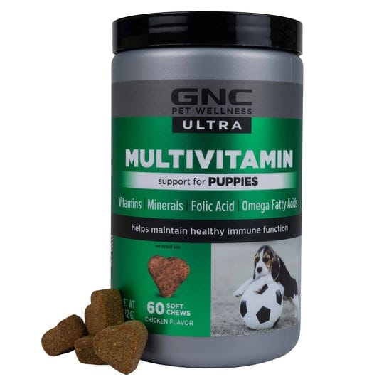 gnc-ultra-multivitamin-chicken-flavor-soft-chews-for-puppies-count-of-60-1