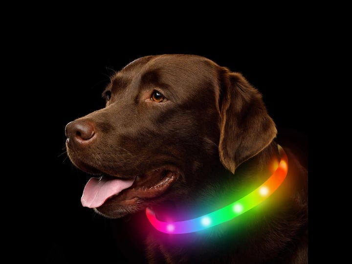 novkin-led-dog-collar-rechargeable-rgb-color-changing-light-up-dog-collars-waterproof-dog-lights-mak-1