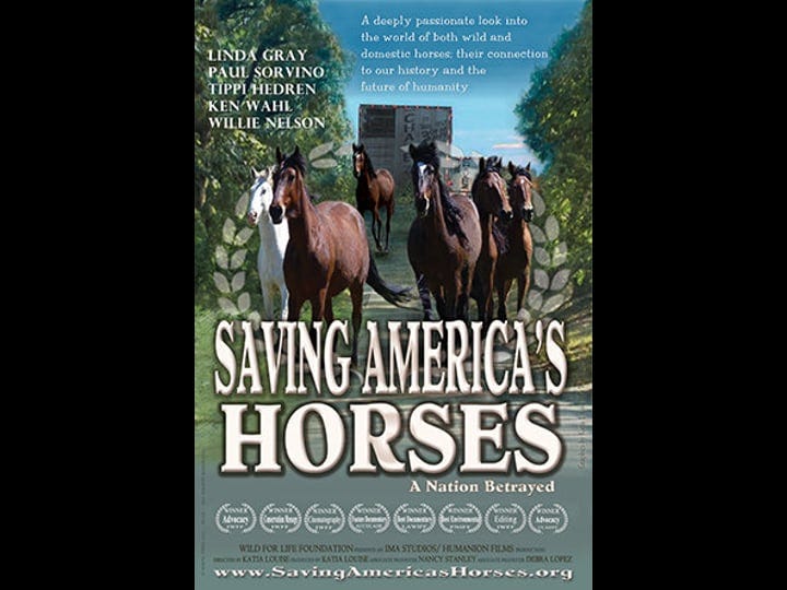 saving-americas-horses-a-nation-betrayed-tt1505400-1