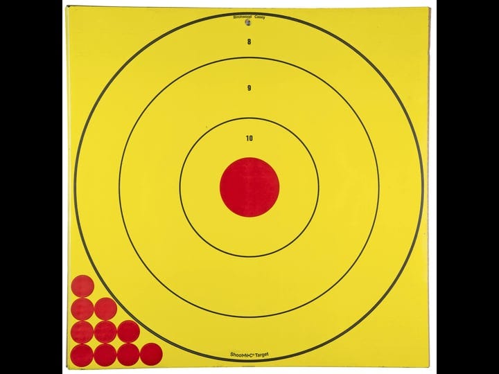 birchwood-casey-long-range-bullseye-target-1