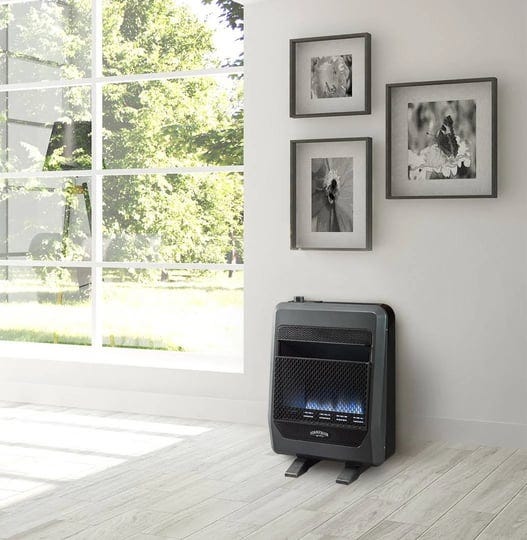 bluegrass-living-natural-gas-vent-free-blue-flame-gas-space-heater-with-blower-and-base-feet-20000-b-1