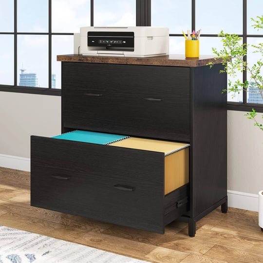 2-drawer-lateral-file-cabinet-printer-stand-with-stroage-black-1